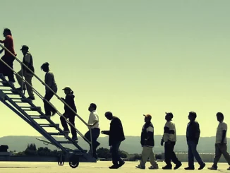 Fotografisches Kunstwerk: Menschengruppe besteigt Flugzeugtreppe auf Rollfeld, Silhouetten in gelbgrünem Licht