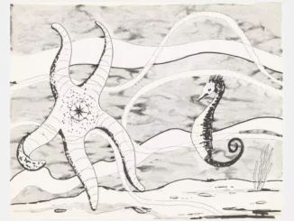 Tuschezeichnung mit Seestern und Seepferdchen in Unterwasserszene, schwarz-weiss auf Papier