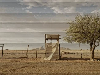 Margaret Courtney-Clarke, Farbfotografie: karge Wüstenlandschaft mit verfallener Holzkonstruktion und einzelnem Baum