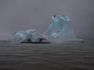 Fotografisches Kunstwerk: Menschliche Silhouette auf eisblauem Eisberg im grauen Polarmeer, Vögel im Nebel
